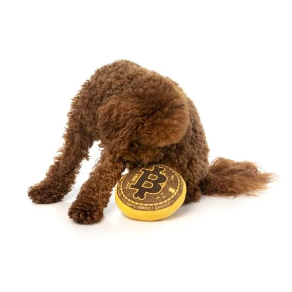 [15% OFF] Fuzzyard Bite Coin Plush Dog Toy