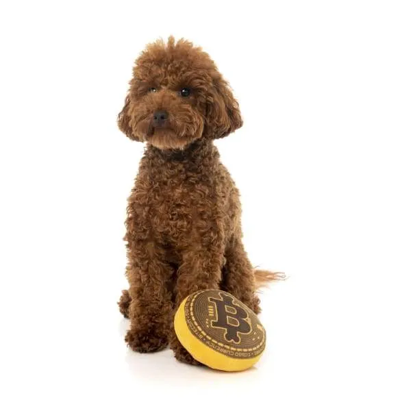 [15% OFF] Fuzzyard Bite Coin Plush Dog Toy