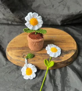 Ishmades Crochet daisy combo