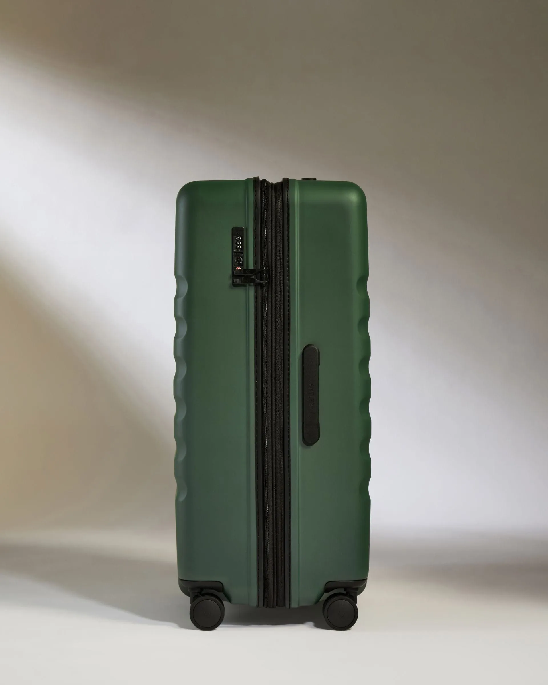 Large Suitcase in Antler Green - Icon Stripe